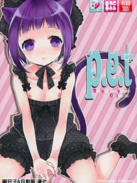 [刷牙子&月影姬 汉化] (COMIC1☆7) [99mg (九重)] p.e.t hentai manga
